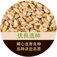 智能網(wǎng)絡(luò)營(yíng)銷(xiāo)矩陣