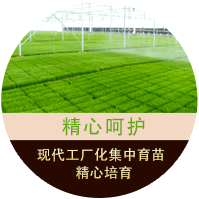 真正大數(shù)據(jù)營(yíng)銷(xiāo)