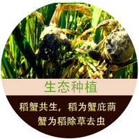 覆蓋全球95%的國(guó)外采購(gòu)商