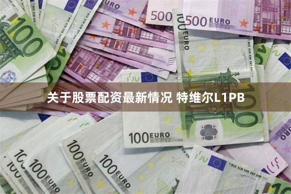 关于股票配资最新情况 特维尔L1PB