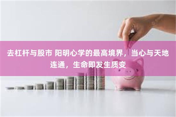 去杠杆与股市 阳明心学的最高境界，当心与天地连通，生命即发生质变