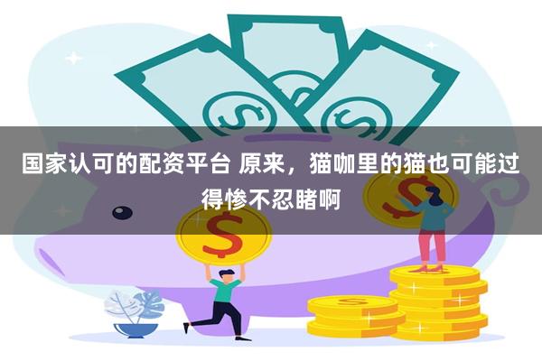 国家认可的配资平台 原来，猫咖里的猫也可能过得惨不忍睹啊