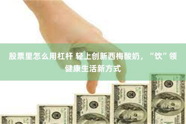 股票里怎么用杠杆 轻上创新西梅酸奶，“饮”领健康生活新方式
