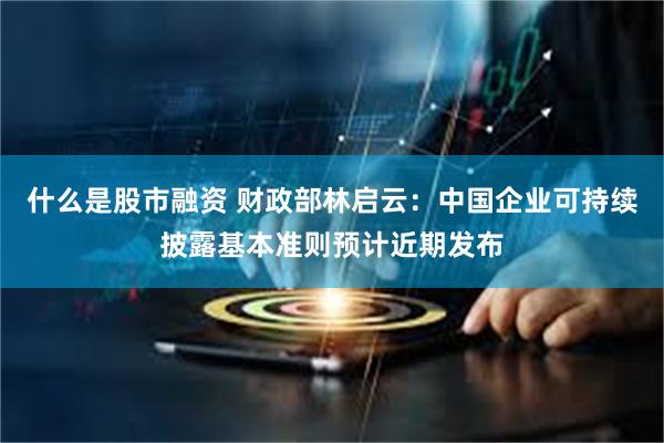 什么是股市融资 财政部林启云：中国企业可持续披露基本准则预计近期发布