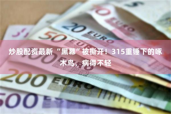炒股配资最新 “黑幕”被撕开！315重锤下的啄木鸟，病得不轻