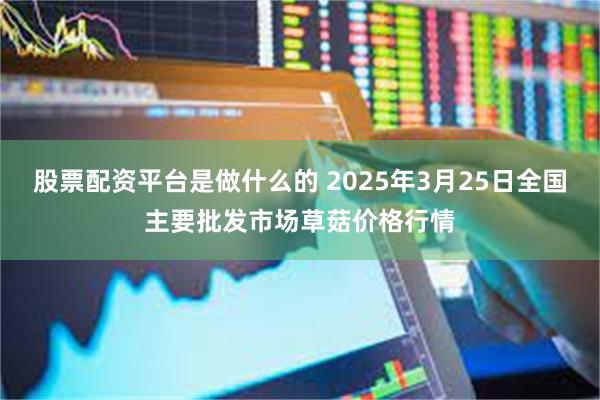 股票配资平台是做什么的 2025年3月25日全国主要批发市场草菇价格行情