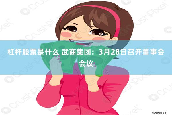 杠杆股票是什么 武商集团：3月28日召开董事会会议