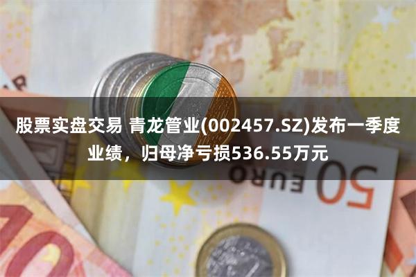 股票实盘交易 青龙管业(002457.SZ)发布一季度业绩，归母净亏损536.55万元