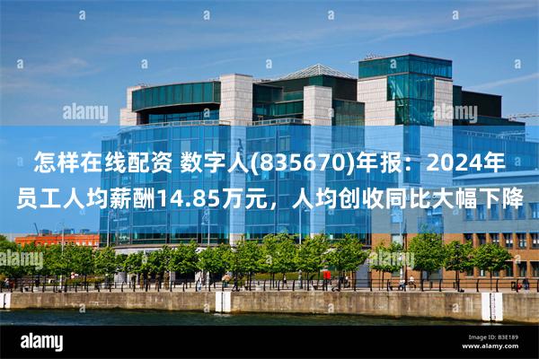 怎样在线配资 数字人(835670)年报：2024年员工人均薪酬14.85万元，人均创收同比大幅下降