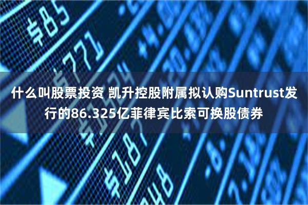 什么叫股票投资 凯升控股附属拟认购Suntrust发行的86.325亿菲律宾比索可换股债券