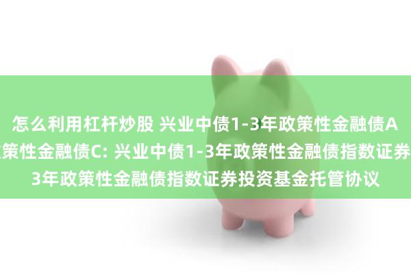 怎么利用杠杆炒股 兴业中债1-3年政策性金融债A,兴业中债1-3年政策性金融债C: 兴业中债1-3年政策性金融债指数证券投资基金托管协议